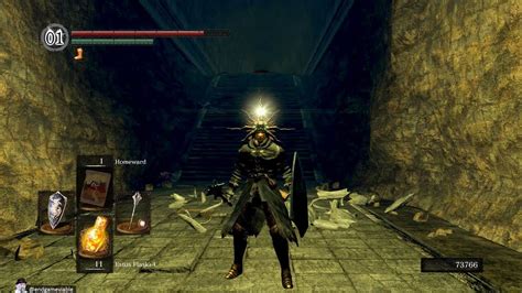 how to get sunlight maggot|Dark Souls Remastered [Sunlight Maggot location and effect in.